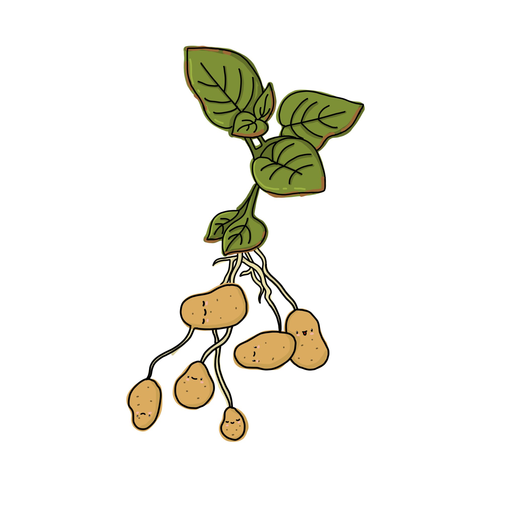 Tatta.-onder-de-grond-2048x2048